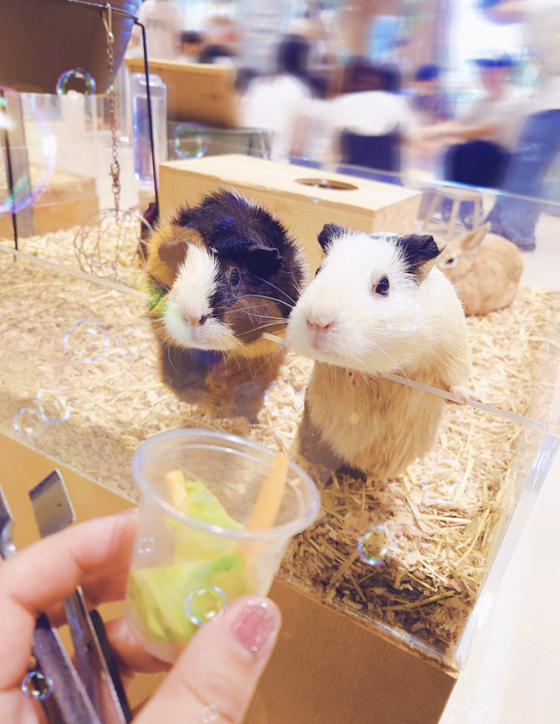 さちの写メ