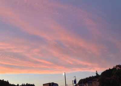 れんの写メ