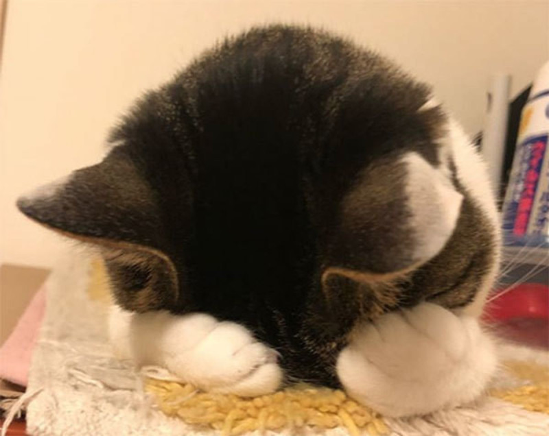 あいかの写メ