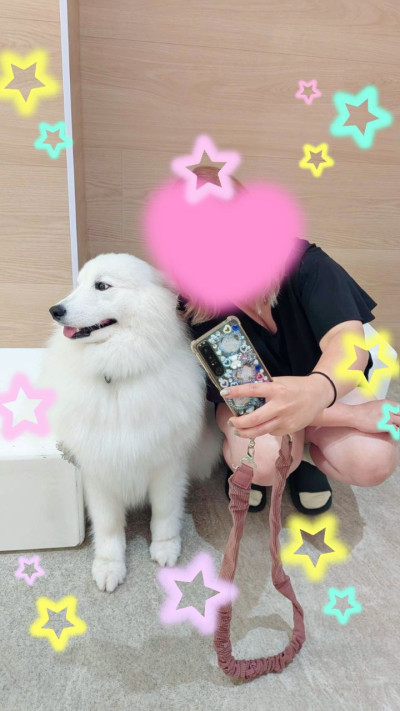 さちの写メ